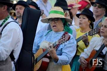 Alegre y participativa romería en El Ejido (Foto FJ Santana y TF)